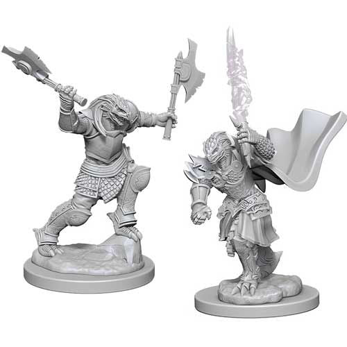 D&D Nolzur's Marvelous Unpainted Minis: W4 Female Dragonborn Fighter