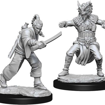 D&D Nolzur's Marvelous Unpainted Minis: W8 Male Human Monk