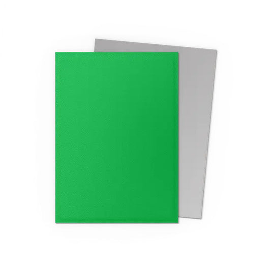 Dragon Shield Standard Dual Matte Sleeves Apple Green & Silver