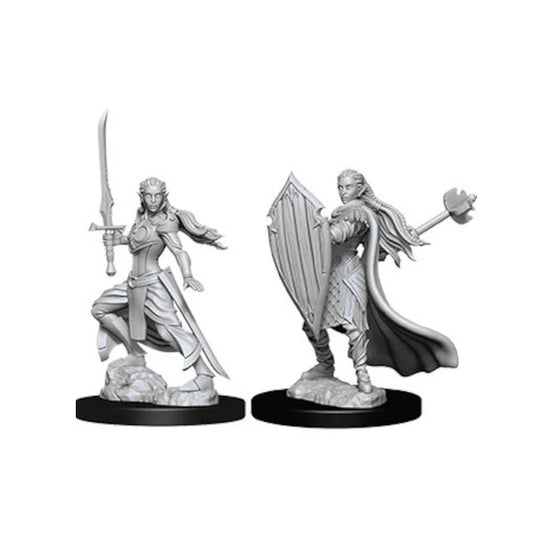 D&D Nolzur's Marvelous Unpainted Minis: W9 Female Elf Paladin