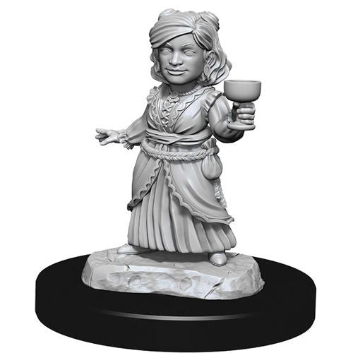 D&D Nolzur's Marvelous Unpainted Minis: W13 Silver Dragon Wyrmling & Dragon Friend