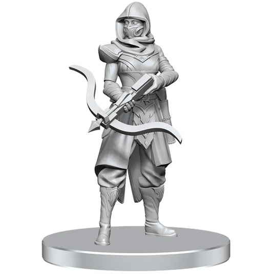 D&D Nolzur's Marvelous Unpainted Minis: W28 Assassin & Berserker