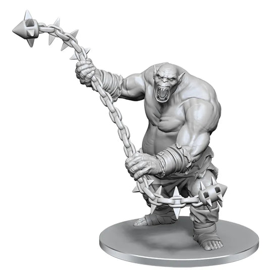 D&D Nolzur's Marvelous Unpainted Minis: W28 Werebear