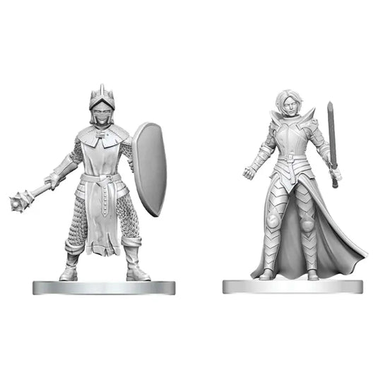 D&D Nolzur's Marvelous Unpainted Minis: Black Gauntlet & Zhentilar Paladin of Bane