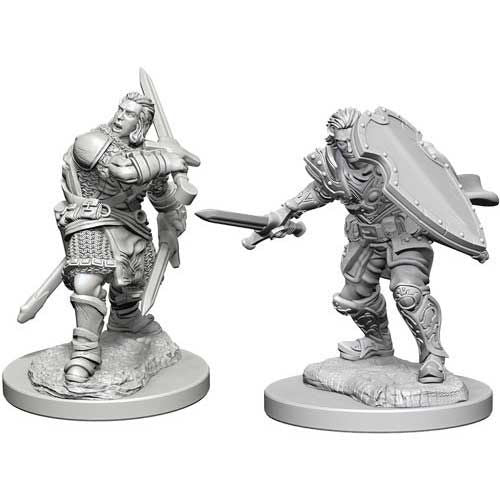 D&D Nolzur's Marvelous Unpainted Minis: W3 Male Human Paladin