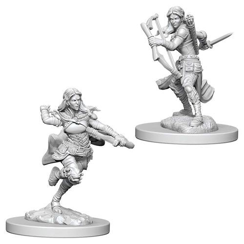 D&D Nolzur's Marvelous Unpainted Minis: W4 Female Air Genasi Rogue