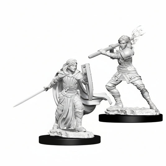 D&D Nolzur's Marvelous Unpainted Minis: W10 Female Human Paladin