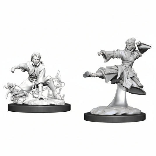 D&D Nolzur's Marvelous Unpainted Minis: W11 Female Human Monk