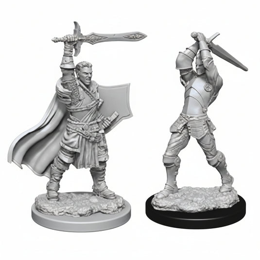 D&D Nolzur's Marvelous Unpainted Minis: W12 Male Human Paladin